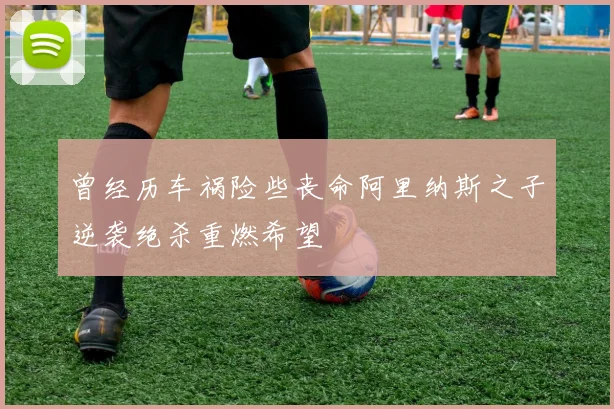 曾经历车祸险些丧命阿里纳斯之子逆袭绝杀重燃希望